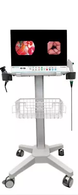 4K UHD Video Endoscope System Laparoscopy Camera • $6000