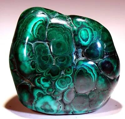 2.6  Natural 9 Oz Top Quality Polished Bull's Eye Malachite Congo! • $36.40