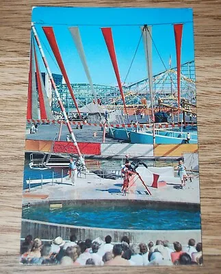 Vintage Chrome Postcard POP Pacific Ocean Park Santa Monica CA The Sea Circus • $5