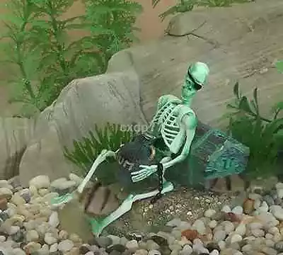$13.99 • Buy Air Driven SKELETON W/ RUM Aquarium Ornament Fish Tank Decoration