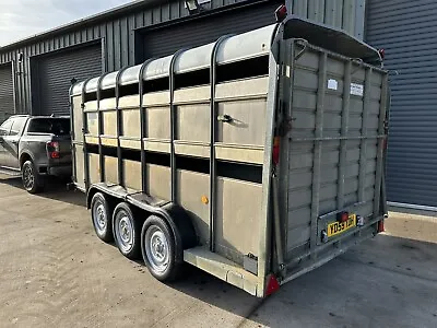 Ifor Williams 14 FT Livestock Trailer✅Cattle Gate✅ TA510G TRI Axle 4x4 Trailer • £4350