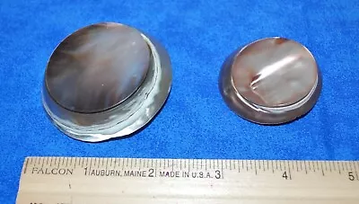 2 - Unique Vintage Abalone Shell Buttons  2 1/4  And 1 5/8  Shank Buttons • $19.99