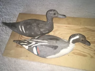 RARE 1930's Antique SCOTT DECOY CO Canvas Drake & Hen Pintail Duck Glass Eyes • $94.99