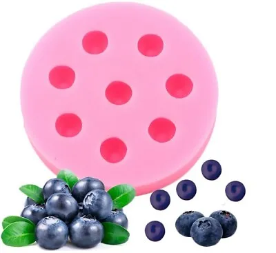 Silicone Mini Blueberry Mold Jewellery Polymer Clay Fruit Earring Fondant Sugar • $6.41