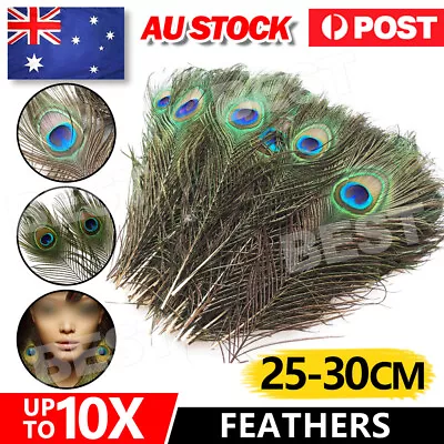 5-10x Natural Peacock Tail Eyes Feathers 25-30cm DIY Craft Vase Decor Vase AU • $4.95