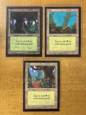 Magic The Gathering✨FOREST LAND SET✨ Collectors’ Edition MINT 1993 Rush MTG Art • $26.50