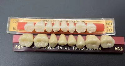 Vintage Denture Teeth Set - Two Strips T101 • $19.68