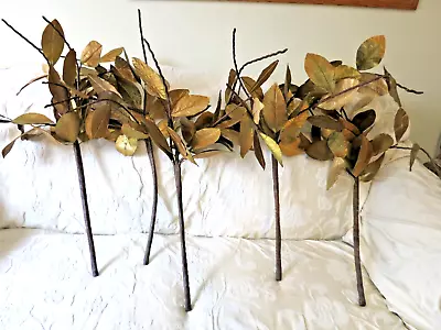 5 Antique Gold 32  Magnolia Leaf Stems Arrangments Real Dipped Leaves Good • $31.72