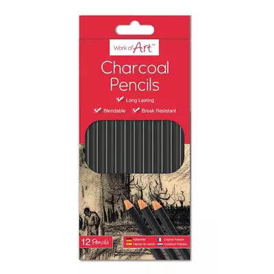 Artist Pencils For Drawing Sketching Charcoal Watercolour Graded Pencil Sketch  • £2.75