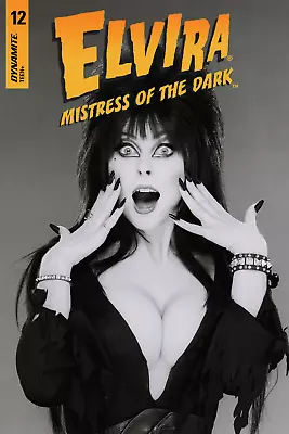 Elvira Mistress Of The Dark Comic Book 12 Cover Art Poster • $20