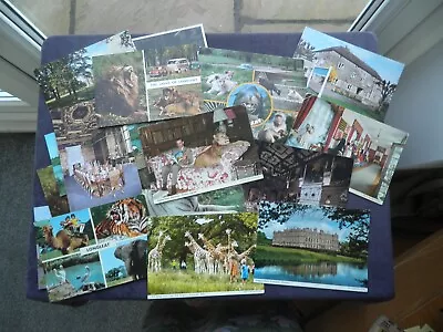 20 Postcards Of Longleat Estate Warminster Wilts. Marquess Of Bath Lions Tigers • £5.49