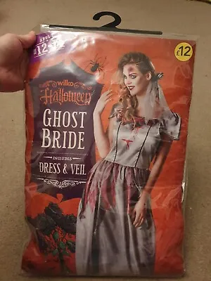 Ghost Bride Halloween Costume Size 12-14 • £7