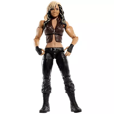 WWE Collection_Best Of 2013_KAITLYN  6   Figure_First Time In The Line_New & MIP • $29.99