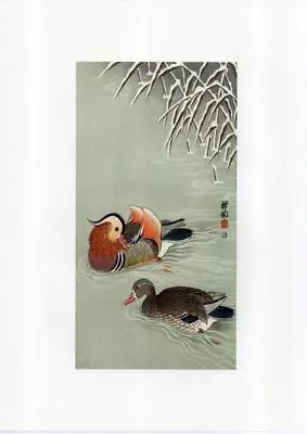 Ohara Koson Japanese Reproduction Woodblock Mandarin Ducks • £3.85