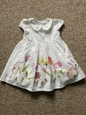 Next Baby Girl Dress 12-18 Months / Floral / New Without Tags • £10