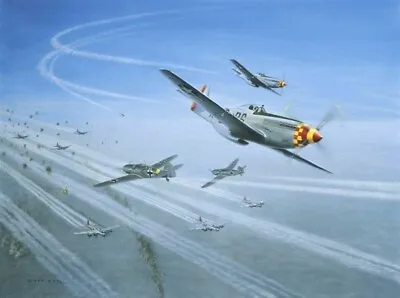 TOP COVER By Gerald Coulson Aviation Art Aces Edition Signed By 5 WWII US Aces • $345