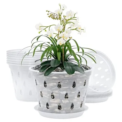 $11.65 • Buy 1/5Pack Orchid Pots With Holes Clear Plastic Plant Flower Pot Indoor Plants