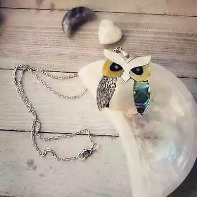 Owl Abalone Mixed Shell Pendant Necklace • $28.99