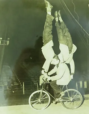 RARE C1940s “The Fredarry’s Trio” Acrobats Circus Act Large Photograph. • $69