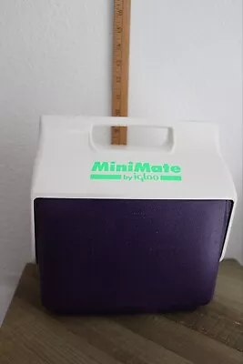 Vintage 2001 IGLOO Mini Mate Cooler Lunch Box Neon Purple Lime Green USA • $25