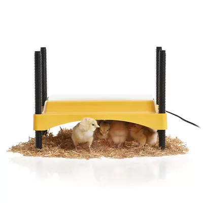 £50.74 • Buy NEW 12W Brinsea EcoGlow Safety 600 CHICK BROODER - Heat Plate/Lamp For 20 Chicks