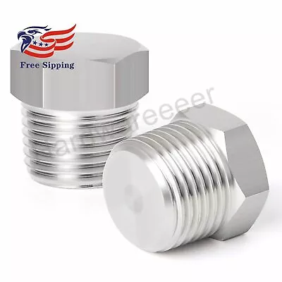 2PCS Stainless Steel Outer Hex Thread Socket Pipe Plug Fitting 3/4  NPT Male • $15.99