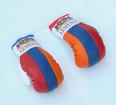 Small  Boxing Gloves Armenian Flag  For Car Mirror Mini Keychain Boxing Gloves • $19.99