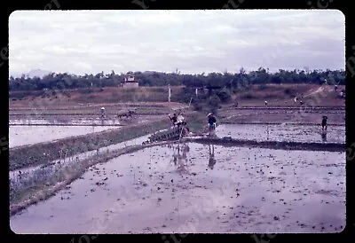 Sl78 Original Slide 1967  Vietnam Farmer Irrigating Field 167a • $9.25