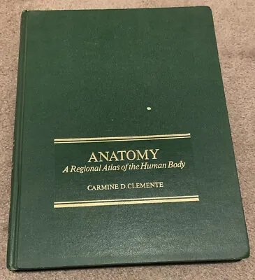 1975 Anatomy Atlas Of Human Body Vintage Science Medical Text • $14.99