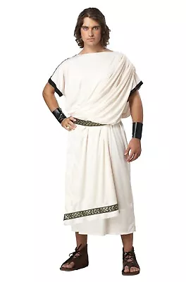 Men's Deluxe Classic Toga Greek Roman Adult Costume • $22.99