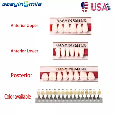 Dental Acrylic Resin Teeth Upper Lower Full Denture False Teeth DIY A1/A2/A3  • $17.74