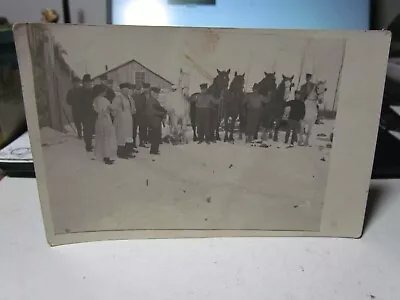 Vintage Rppc Logging Postcard Draft Horse's... • $10