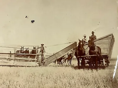 AcE Found Photo Photograph Old Thrashing Machine Farm Equipment Horse Drawn  • $14.50