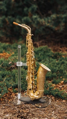$9000 • Buy Gold Plate Selmer Paris Cigar Cutter Alto Saxophone
