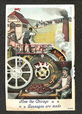 Chicago Illinois Pigs Sausage Making Machinery Mechanical Novelty Postcard 1908 • $29.95