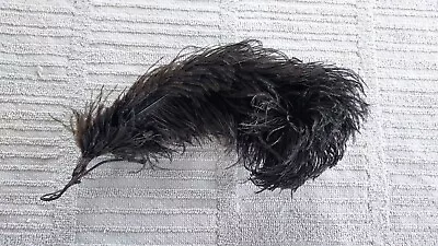 Antique Victorian Edwardian Black Ostrich  Plume Feather Millinery 8” Mourning • $19.99