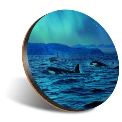 £3.99 • Buy 1x Round Coaster 12cm Orca Killer Whales Northern Lights Ocean #53115