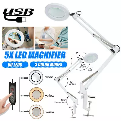 $24.25 • Buy Magnifier LED Lamp 5X Magnifying Glass Study Table Light Reading Lamp W/ Clamp