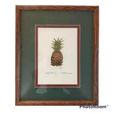 Martha Hinson Framed Limited Edition Hospitality Pineapple Print 4345/4950 • $17.49