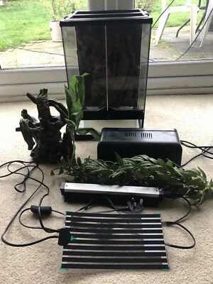 £60 • Buy Exo Terra Vivarium Starter Kit 