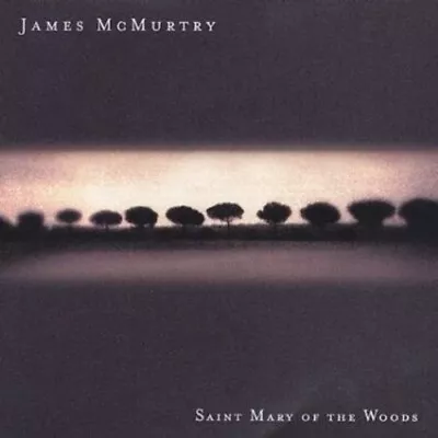 James McMurtry - Saint Mary Of The Woods [New CD] • £15.42