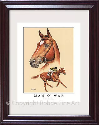 MAN O' WAR - FRAMED HORSE RACING ART PRINT Famous Thoroughbred Racehorse Rohde • $69