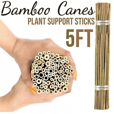 5FT Bamboo Garden Canes Strong Natural Thick Quality Stakes Plant Support Stick  • £14.99
