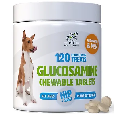 Glucosamine Chondroitin With MSM For Dogs  Hip And Joint Support • $42.95