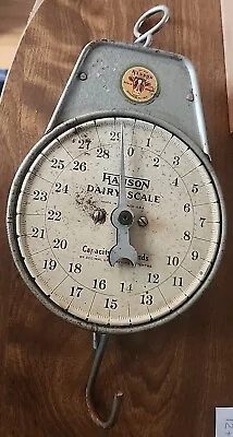 Vintage Hanson DAIRY/GRAIN Feed Seed Hanging Scale WORKING 30 Lb Capacity • $41.50