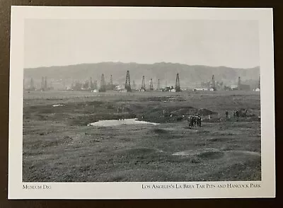 Museum Dig - La Brea Tar Pits - Los Angeles Ca. Postcard • $6.95