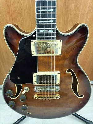 IBANEZ AM200AV Electric Guitar #21224 • $1330