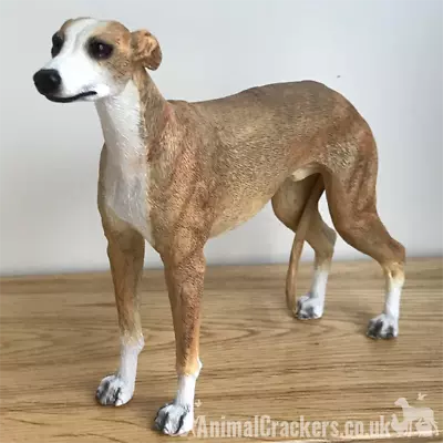 £13.95 • Buy Greyhound Ornament Sculpture Fawn Tan Statue Figurine By Leonardo, Gift Boxed