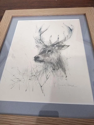 £29.99 • Buy Set Of 3 X Vintage MADS STAGE  Prints STAG,BIRD,MOUSE Prints - New Frames