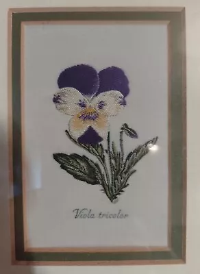 Cash's Silk Woven Embroidery Picture Viola Tricolour Framed J & J Cash Coventry • £7.99